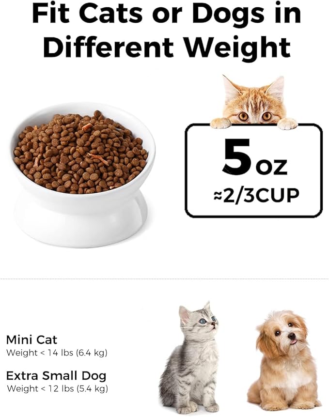 LoeJan Elevated Cat Food Bowl, 5 Oz Ceramic Raised and Tilted Water Bowl, Anti Vomiting and Protect Pets' Spines Dishes for Small Dog, Fat Faced Cat, Kitten (White, 2 Pack)