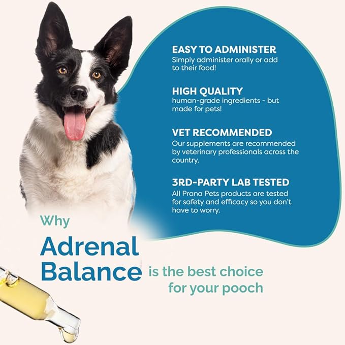PranaPets Adrenal Balance for Dogs with Cushing’s | Naturally Relieves Symptoms of Cushing's in Dogs | Herbal Formula for Dogs with Cushing’s