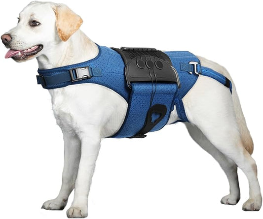 Dog Back Brace for IVDD, Arthritis, Slipped and Herniated Discs – Provides Back Support and Pain Relief, Stabilizes Spine for Surgical Recovery and Mobility, Dogs Back Disease Prevention(Blue,L)