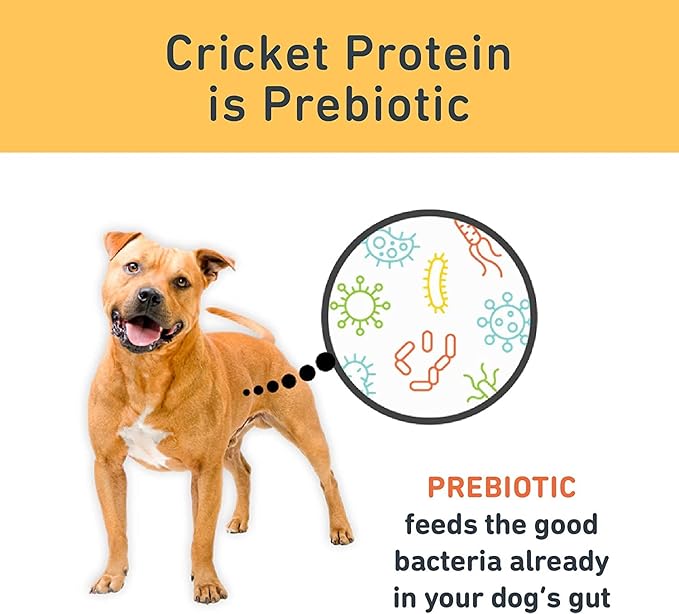 Jiminy's Original Cricket Cookie Dog Treat, 5oz, Peanut Butter & Blueberry (Pack of 3)