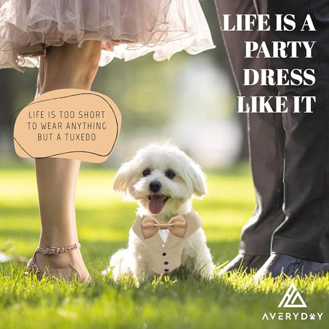 AVERYDAY Dog Tuxedo for Wedding Outfit, Dog Suit and Tie Costumes for Birthday, Halloween, Cosplay, Christmas Party, Pet Formal Wear with Bowtie, Tux for Small Dogs, Chihuahua, Bichon, Maltese, Cats