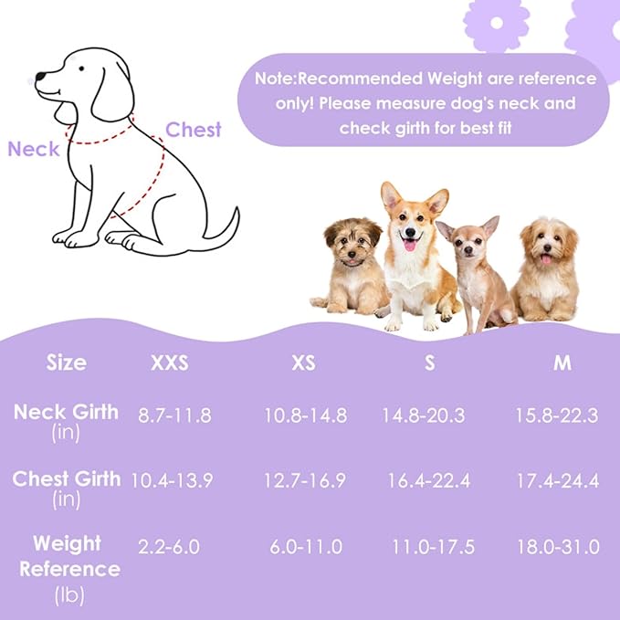 SlowTon Small Dog Harness - No Pull Dog Harness and Leash Set, Soft Mesh Lightweight Puppy Vest Harnesses, Adjustable Pet Harnesses for XXS XS Small Medium Easy Walk Hiking (Purple, M)
