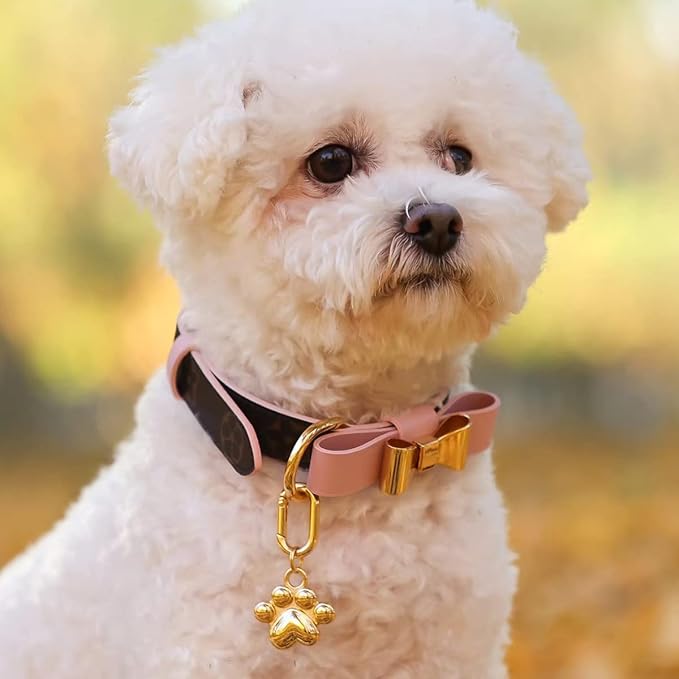 Dogs ID Tags Personalized Double Sided Deep Engraved Cat & Dog Collar Charm Paw Balloon Shape Brass