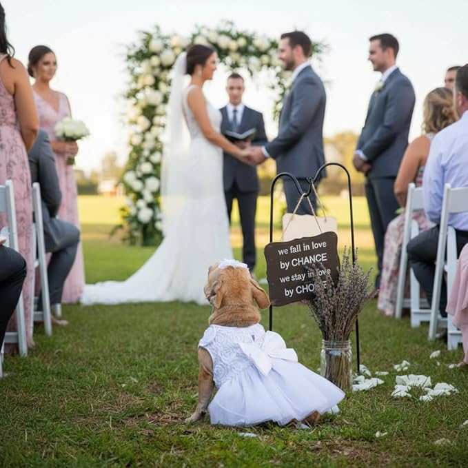 ASENKU Dog Dress Pet Wedding Dress Princess Lace Puppy Birthday Party Outfit Formal Apparel Girl for Small Medium Dogs Cats (XX-Small, White)