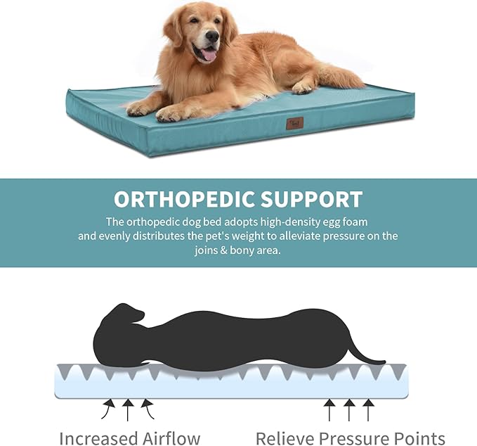 Orthopedic Dog Bed for Medium Dogs - Waterproof & Machine Washable Pet Bed with Egg Crate Foam, Removable Cover for Easy Cleaning, for Indoor & Outdoor Use, 30x20 Inch, Light Blue