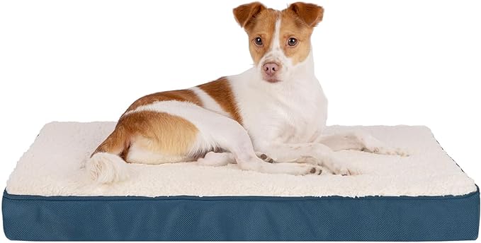 Best Pet Supplies Cute Dog Crate Mat Flat Bed with Waterproof Exterior, Thick Orthopedic Egg Foam Mattress, and Soft Sherpa Fleece Cover for Small, Medium, and Large Breeds - Blue, 35X22X4