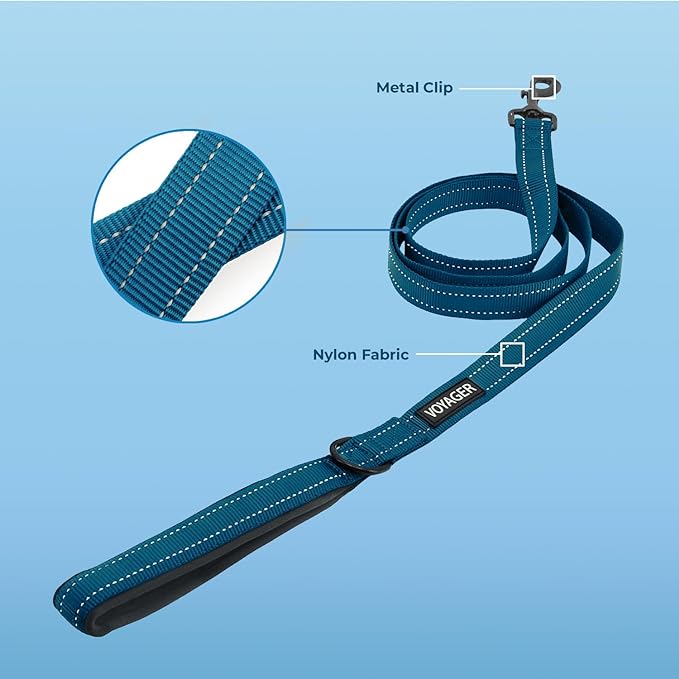 Voyager Reflective Dog Leash with Neoprene Handle, 5ft Long, Supports Small, Medium, and Large Breed Puppies, Cute and Heavy Duty for Walking, Running, and Training - Blue (Leash), M