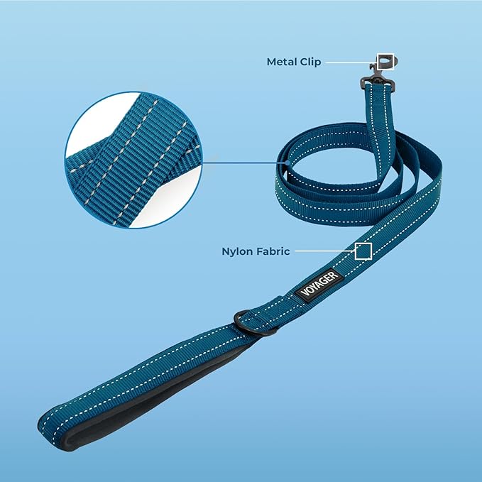 Voyager Reflective Dog Leash with Neoprene Handle, 5ft Long, Supports Small, Medium, and Large Breed Puppies, Cute and Heavy Duty for Walking, Running, and Training - Blue (Leash), L