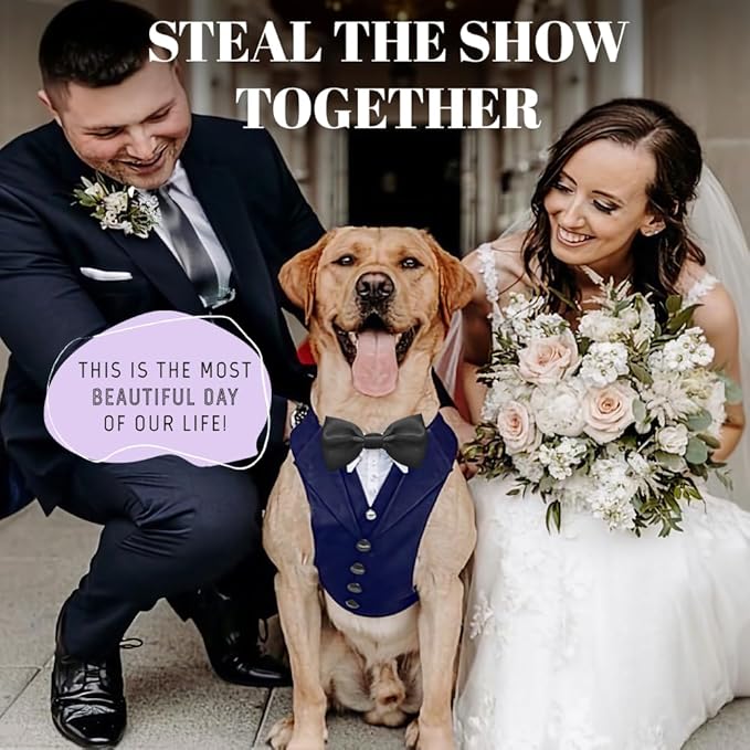AVERYDAY Dog Tuxedo for Wedding Outfit, Dog Suit and Tie Costumes for Birthday, Halloween, Cosplay, Christmas Party, Pet Formal Wear with Bowtie, Tux for Medium Large Dogs, Bulldog, Labrador, Husky