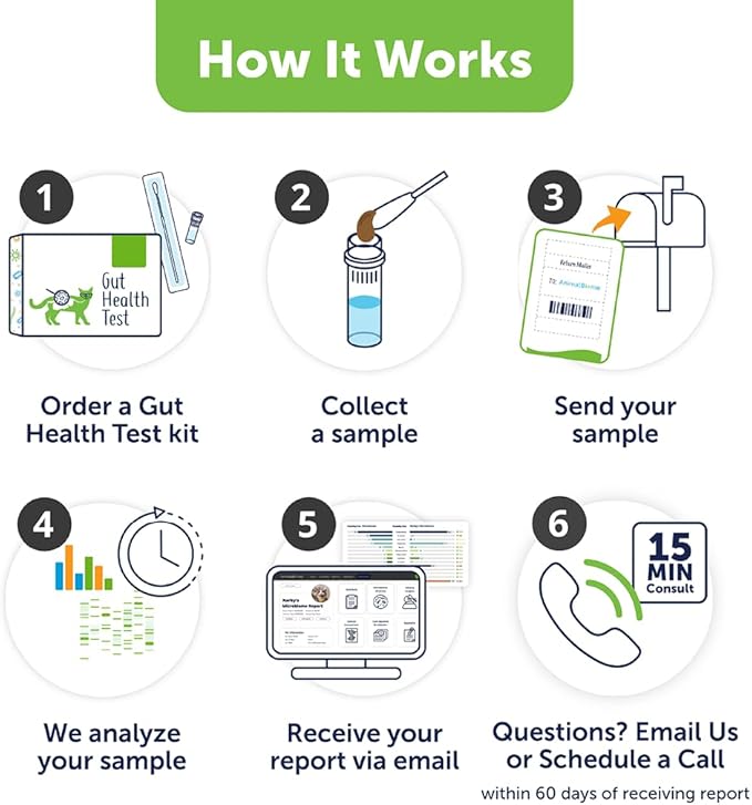 AnimalBiome Cat Probiotics Test Kit - Gut Microbiome Health Test - KittyBiome (Cats Within The US)