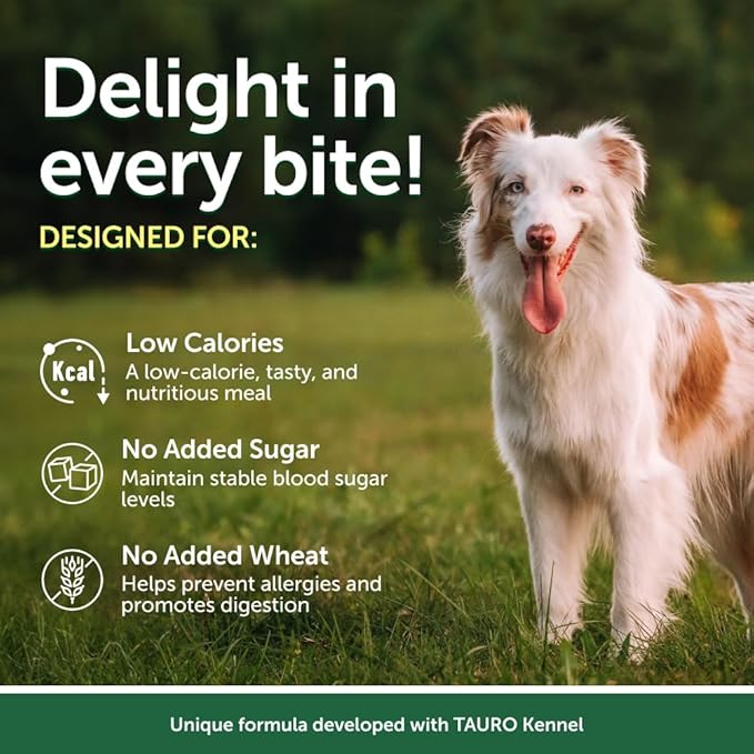 Nature's Protection Wet Dog Food Pouches for Small & Large Breed - High Protein, 24-Pack Soft Dog Food Toppers for Adult Light Coated Dogs (Superior Care - Tuna Fish, 2.46-oz)