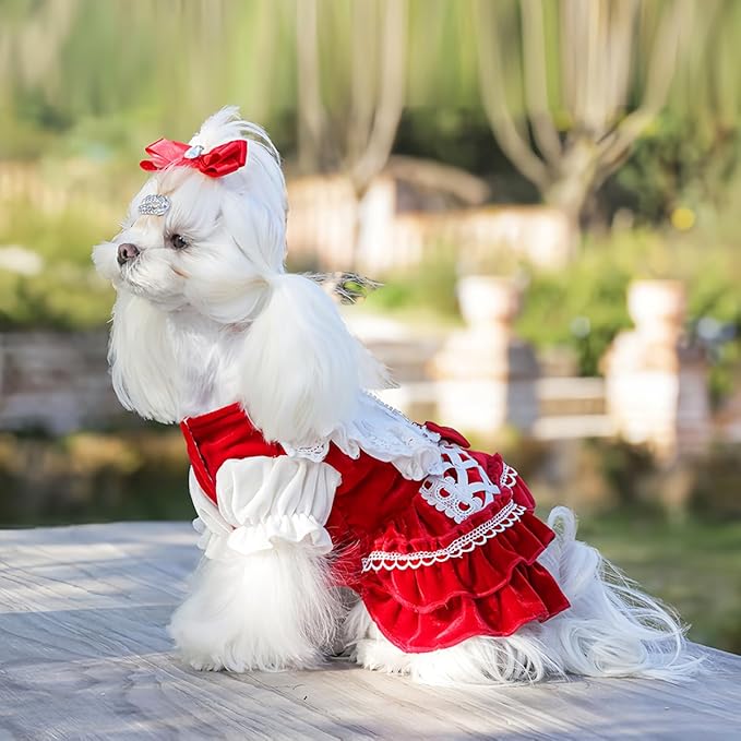 MengYu Princess Dresses for Small Dog Lolita Clothes for Cat Velvet Costume Pretty Lace Outfits Fall Costumes (Red, L)