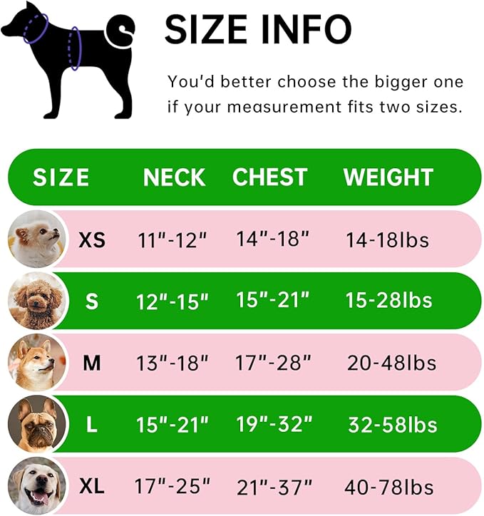 IVY&LANE No Pull Dog Harness for Small Dogs, Dog Vest Harness with Leash, Safety Belt and Storage Strap, Fully Adjustable Harness, 360° Reflective Strip, Soft Handle (Green,S)