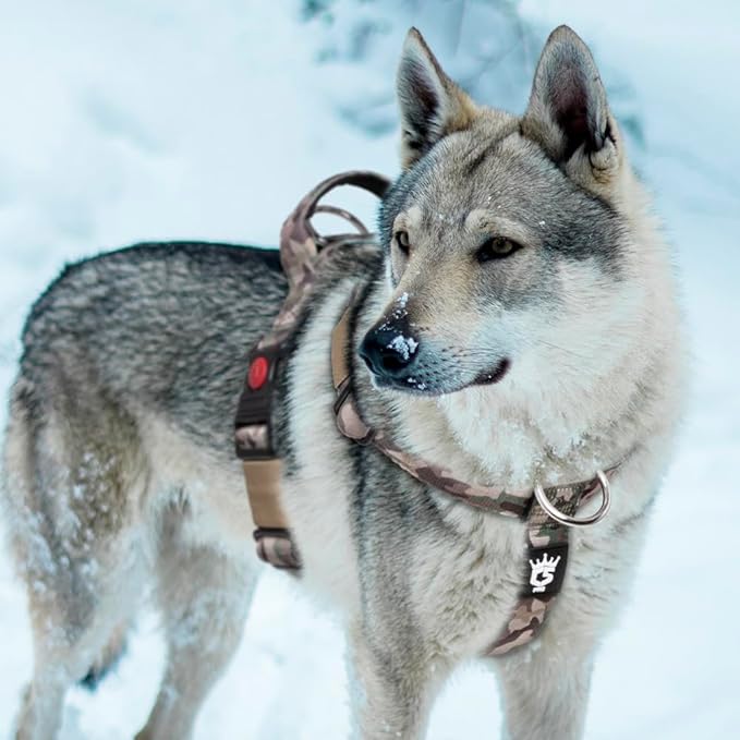 TSPRO Premium Heavy Duty Dog Harness, Adjustable Tactical Dog Harness for Large Dogs with Quick-Release Buckle and Comfortable Soft Handle for Outdoor Walking and Running (Camo Pink M)