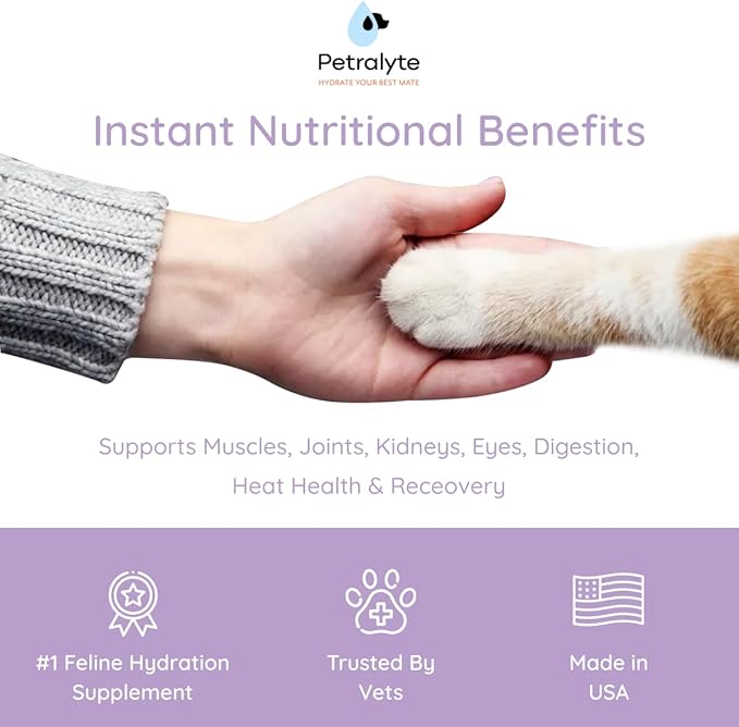 Cat Hydration Electrolyte and Cat Joint Supplement | Hydration Support for Cats w/Glucosamine, Chondroitin, L-Glutamine, Taurine, Lysine & Prebiotics | for Salmon Lovers | 16 Packets