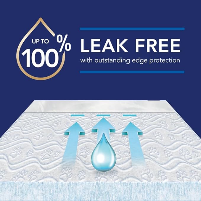 Scott Pet Guard Advanced Dog Pads - Large - 22" x 22" - 100 Pack of Pet Pads