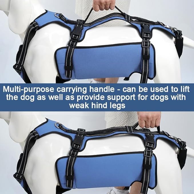 Coodeo Dog Lift Harness, Support & Recovery Sling, Pet Rehabilitation Lifts Vest Adjustable Breathable Straps for Old, Disabled, Joint Injuries, Arthritis, Paralysis Dogs Walk (Blue,M)