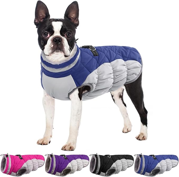 Small Dog Coat,Dog Jackets for Small Dogs,Warm Winter Jacket, Puppy Coat with Harness Built in,Waterproof Dogs Jacket,Puppy Cold Weather Coats,Pet Winter Clothes Snowsuit Shih Tzu Bichon,Blue