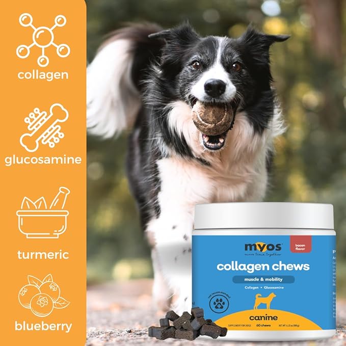 MYOS Canine Muscle & Mobility Chews – Collagen & Glucosamine for Dogs - Bacon Flavor Joint Supplement for Muscle, Bone & Joint Support, 60 Count