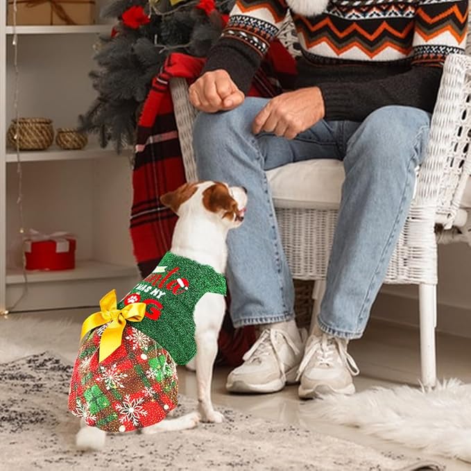 Funny Puppy Dress with Bow - Dog Dresses & Costumes for Small & Large Dogs - Pumpkin Witch Bat Pet Costume for Halloween & Christmas