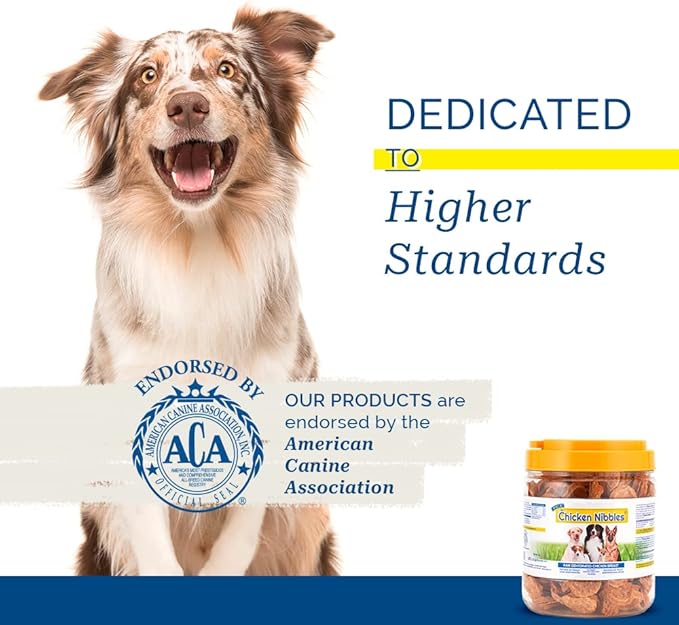 Pet Center, Inc. PCI Chicken Nibbles Raw Dehydrated Chicken Breast Dog Treats, 1 Pound Container,16 oz,CHK-101