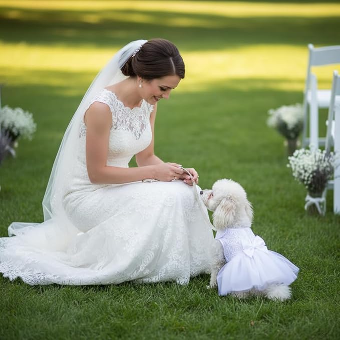 ASENKU Dog Dress Pet Wedding Dress Princess Lace Puppy Birthday Party Outfit Formal Apparel Girl for Small Medium Dogs Cats (XX-Small, White)