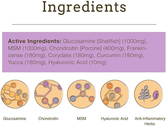 Herbsmith Sound Dog Viscosity – Advanced Joint Support for Dogs – Veterinarian Recommended Glucosamine for Dogs, Hyaluronic Acid, Chondroitin, MSM – 150g Powder