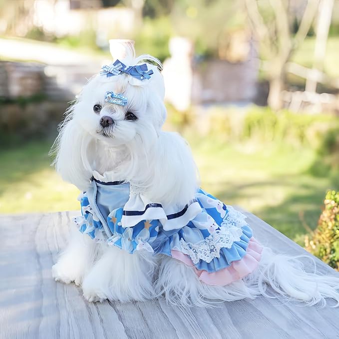 MengYu Puppy Dress Cat Lolita Dress (Sky Blue, XS)