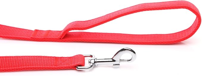 Strong Nylon Dog Leash with 2-Layer, 4 FT/ 6 FT/ 7FT Long, 1 Inch Wide for Medium Large Dogs (Red, 1'' x 2 FT)