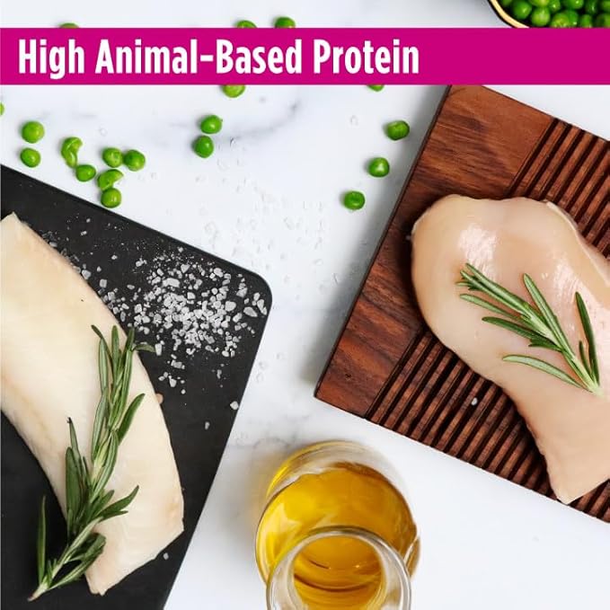 Nulo Freestyle High Protein Cat & Kitten Food, Chicken & Cod Recipe - Natural Grain-Free Dry Cat Food with Omega Fatty Acids & Probiotics, 2 lb Bag