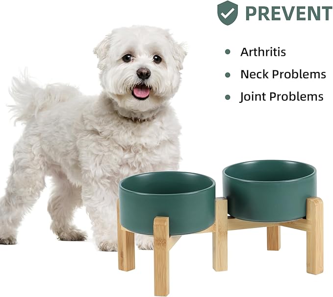 Ceramic Raised Double Bowls Set with Stand, 2 Heights Elevated, Food & Water Bowls for Small Breed Dogs, Weighted Dog Dishes, Pet Bowl(6.1'',28.7oz, Green)