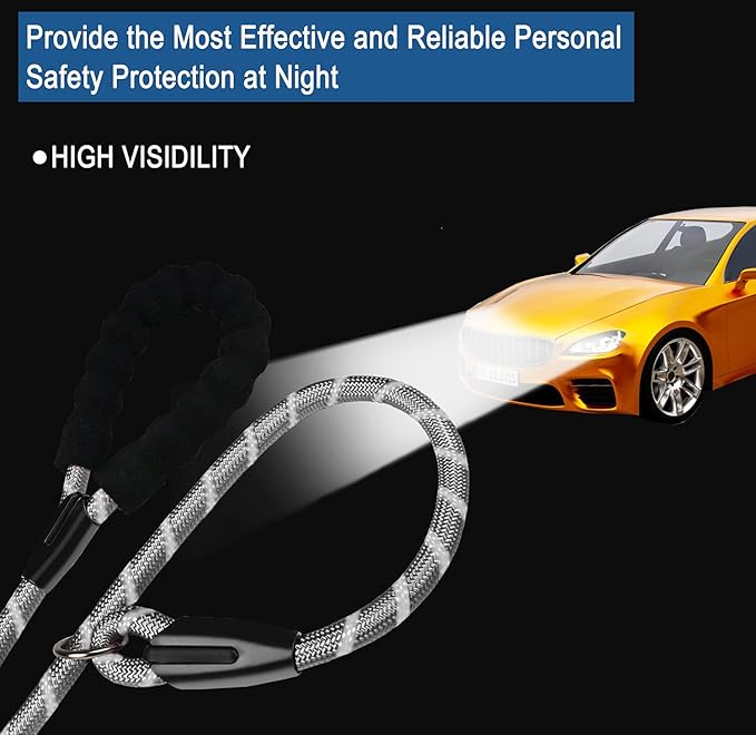 Dog Leash 6 FT, Durable Premium Quality Strong Training Rope Slip Leash with Comfortable Padded Handle and Highly Reflective Threads for Small Medium and Large Dogs, (Light Gray)