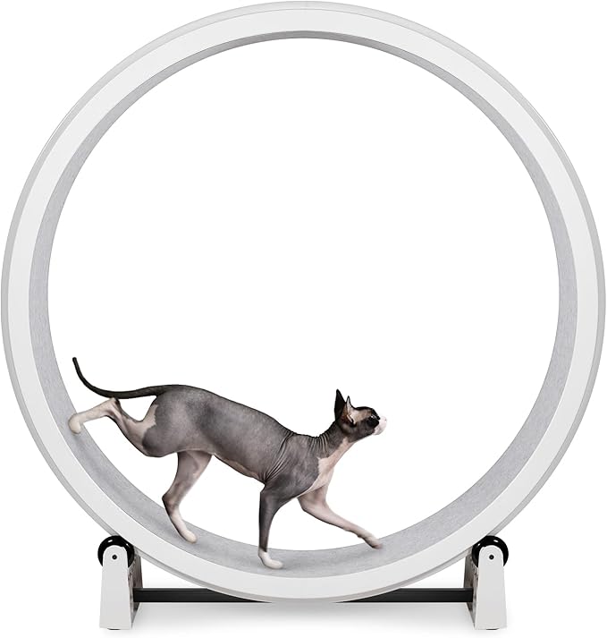 One Fast Cat - Cat Exercise Wheel - Gen. 7 - Safe 48" Diameter - Made in The USA - White Wheel with Gray Felt Traction Pads and Solid Black Inline Wheels