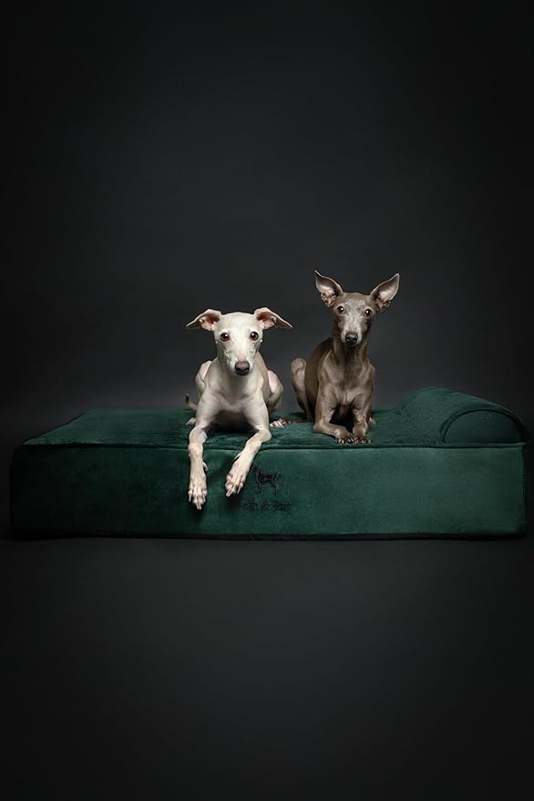 NOAH & PAW Large Dog Bed, 35x25x8.7 Inch, Orthopedic Dog Beds, Eggshell Memory Foam Infused with Cooling Gel, Waterproof, Machine Washable, Includes Inner Cover (Velvet Collection)