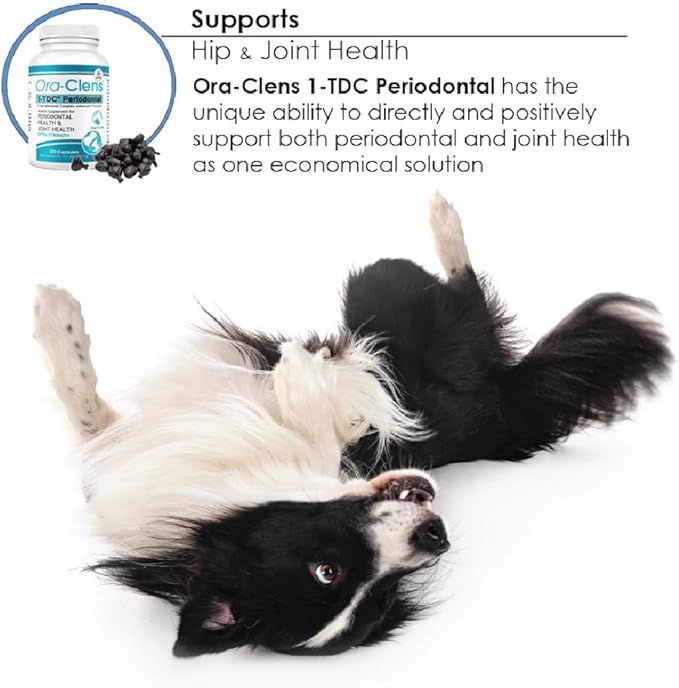 1-TDC Periodontal - Support Healthy Teeth Gums in Dogs Cats - Safe Non-invasive - 120 Capsules