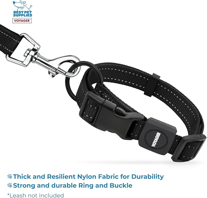 Best Pet Supplies Reflective Dog Collar with Adjustable Length, Heavy-Duty Buckle, and Strong Leash D-Ring, Training, Walking, Jogging Accessory for Small, Medium, and Large Breeds - Black, L