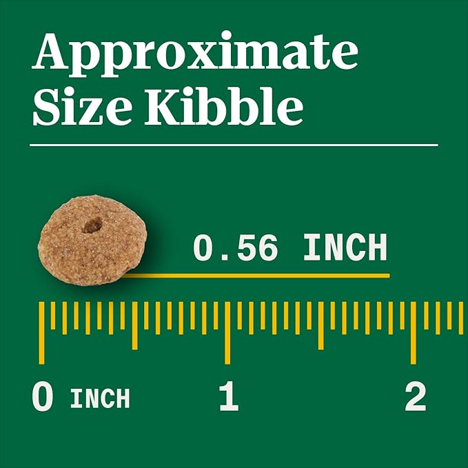 Nutro Natural Choice Senior Large Breed Dry Dog Food, Chicken and Brown Rice, 30 lbs.