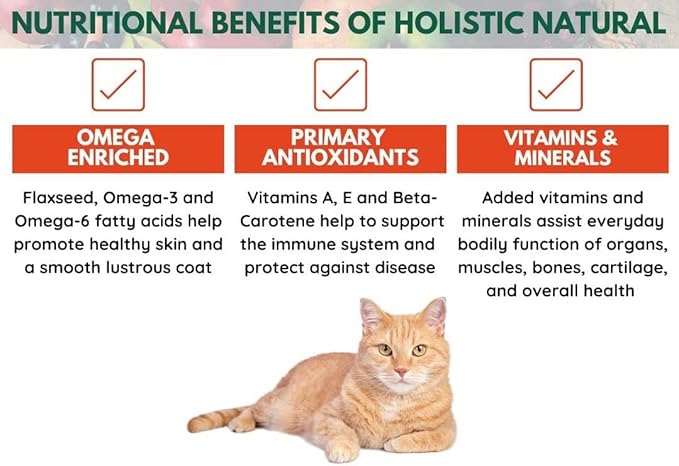 Bench & Field Holistic Natural Premium Adult Dry Cat Food, Chicken Meal and Brown Rice Recipe 3 lb Bag (Pack of 1)