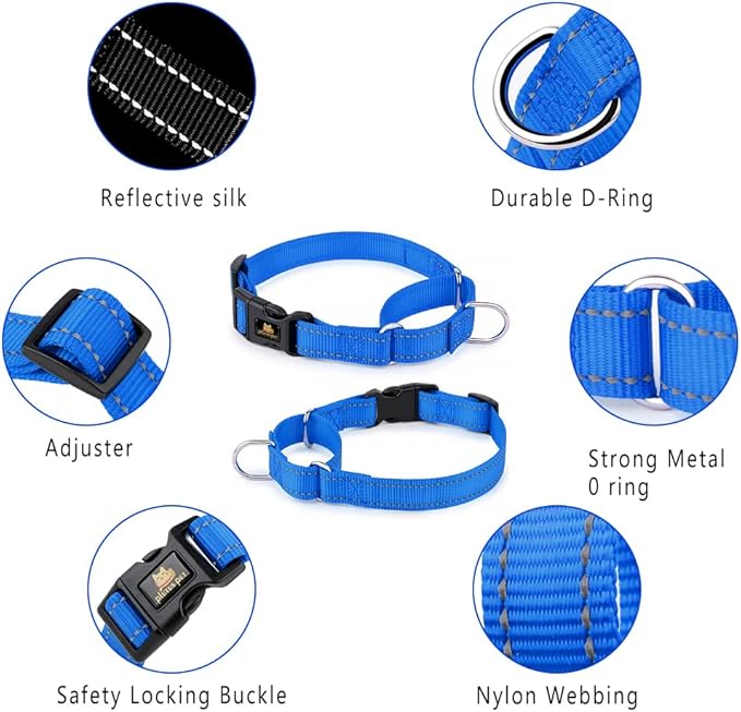 Plutus Pet Reflective Martingale Collar with Buckle - Durable and Adjustable Training Collar for No Pulling, Dog Choker Collar for Small Medium Large Dogs, Royal Blue, XS