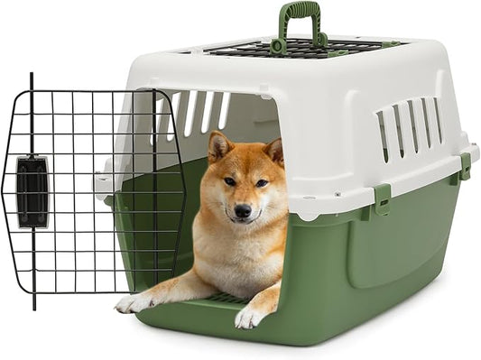 Athena Collection 22" Hard-Sided Travel Pet Carrier for Small Dogs and Cats, Plastic Dog Crate with 2-Door Top & Front Load, Ventilation, Security Lock, Cat Dog Carrier for Pet, up to 22lbs, Green