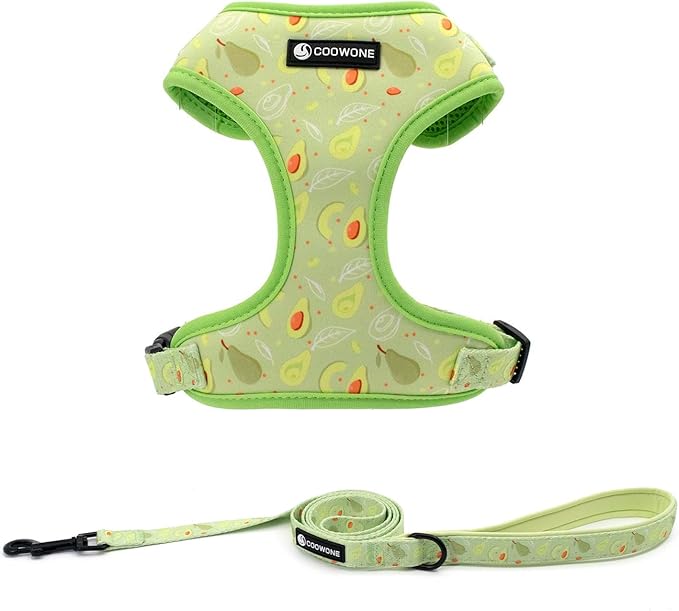 Dog Harness and Leash Set, Adjustable Dog Harness, Dog Leash, No Pull No Choke Puppy Harnesses for Walking Training for Small Medium Pet