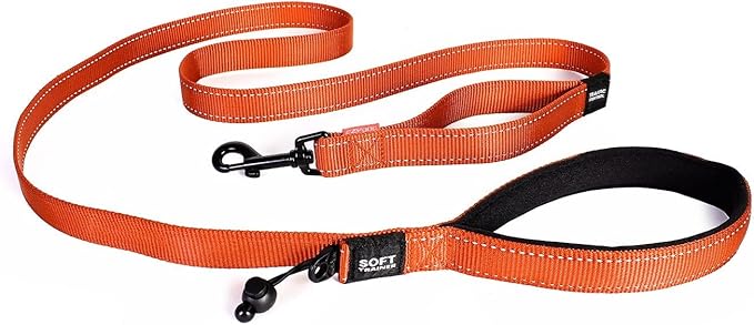 EzyDog Soft Trainer Dog Leash with Traffic Control Handle - Reflective Stitching for Nighttime Safety and Superior Strength and Comfortability for Training Large to Medium Dogs (72”, Orange)