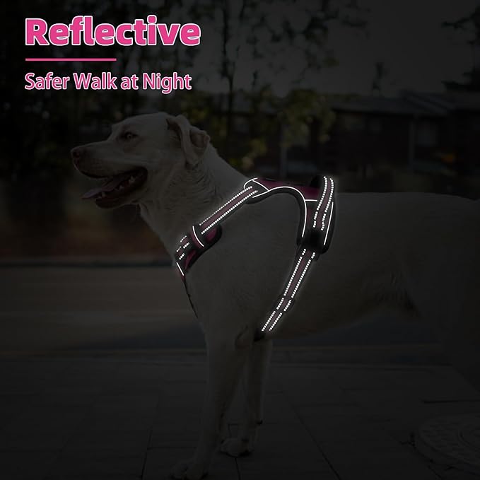 PUPTECK No Pull Dog Harness Medium Sized, Adjustable Reflective Dog Harness with Handle Easy Control, Comfortable Soft Padded Pet Vest Harness for Medium Dogs, Fuschia M