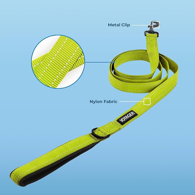 Voyager Reflective Dog Leash with Neoprene Handle, 5ft Long, Supports Small, Medium, and Large Breed Puppies, Cute and Heavy Duty for Walking, Running, and Training - Lime Green (Leash), L