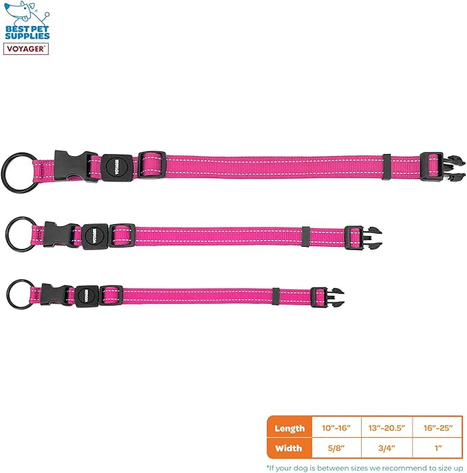 Best Pet Supplies Reflective Dog Collar with Adjustable Length, Heavy-Duty Buckle, and Strong Leash D-Ring, Training, Walking, Jogging Accessory for Small, Medium, and Large Breeds - Fuchsia, M