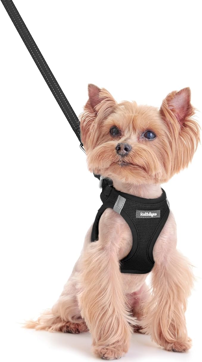 rabbitgoo Dog Harness Small Sized and Leash Set, Step in Soft Light Puppy Vest, Breathable Mesh Pet Harness, Reflective for Safe Easy Walking, Black XXS