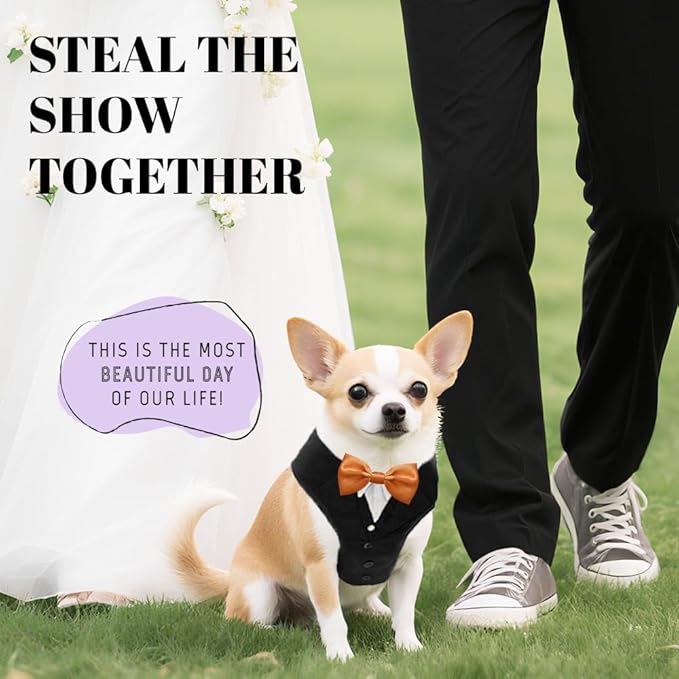 AVERYDAY XS Pet Tuxedo Harness, Wedding Costume Outfit for Small Dogs, Slim Cats and Tiny Pets with 8.3" Neck, 13-14.6" Chest, 10" Max Head Girth, Formal Suit Costume for Mini Breeds