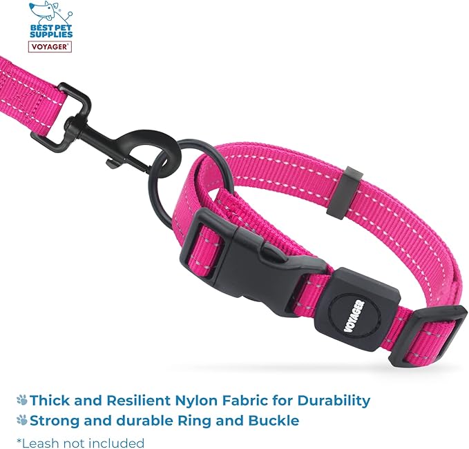 Best Pet Supplies Reflective Dog Collar with Adjustable Length, Heavy-Duty Buckle, and Strong Leash D-Ring, Training, Walking, Jogging Accessory for Small, Medium, and Large Breeds - Fuchsia, L