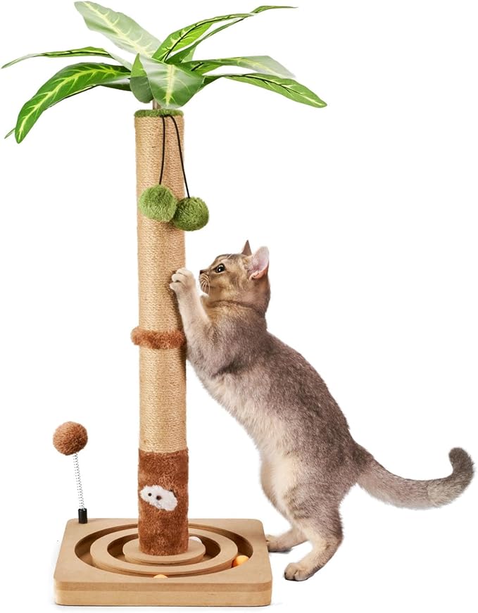 MECOOL Cat Scratching Post Sturdy and Premium Scratch Posts with Hanging Ball and Ball Track Toy Cute Cat Tree 30in for Indoor Kittens