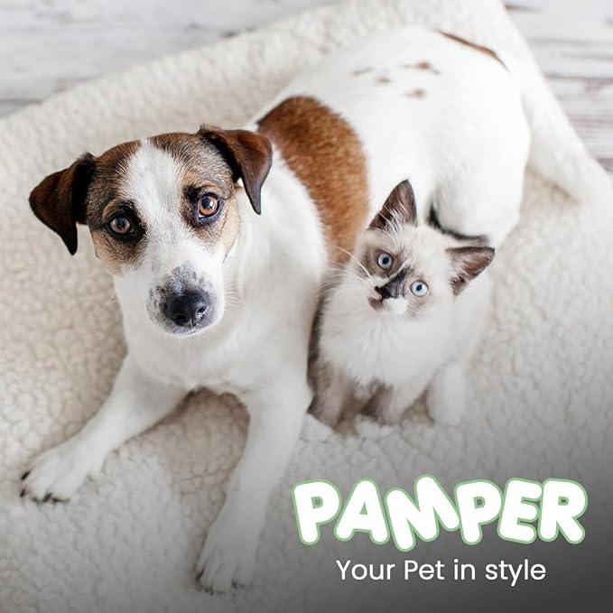 Scentament Spa Seasonal Facial & Body Wash, Berry Amaretto, 1 Gallon, Model: S55-Gallon